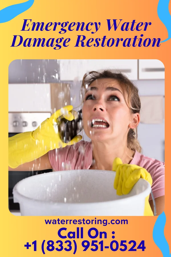 Emergency Water Damage Restoration in Elkton, KY