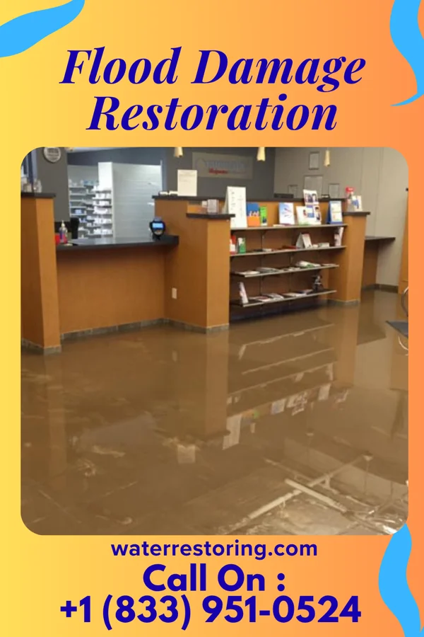 Flood Damage Restoration in Elkton, KY