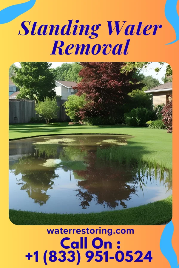 Standing Water Removal in Elkton, KY